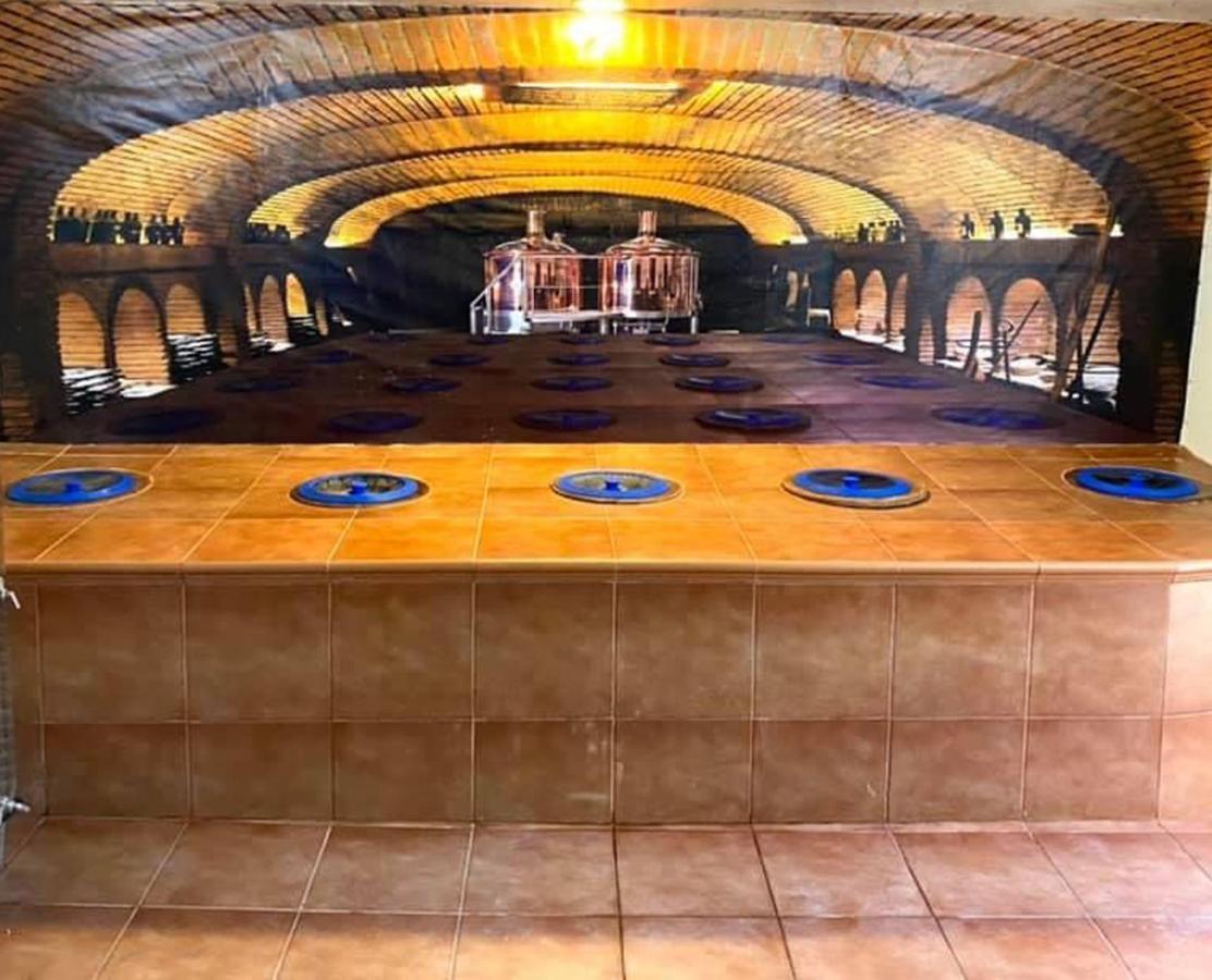 Brewery House&Beer Spa Aspindza Bagian luar foto